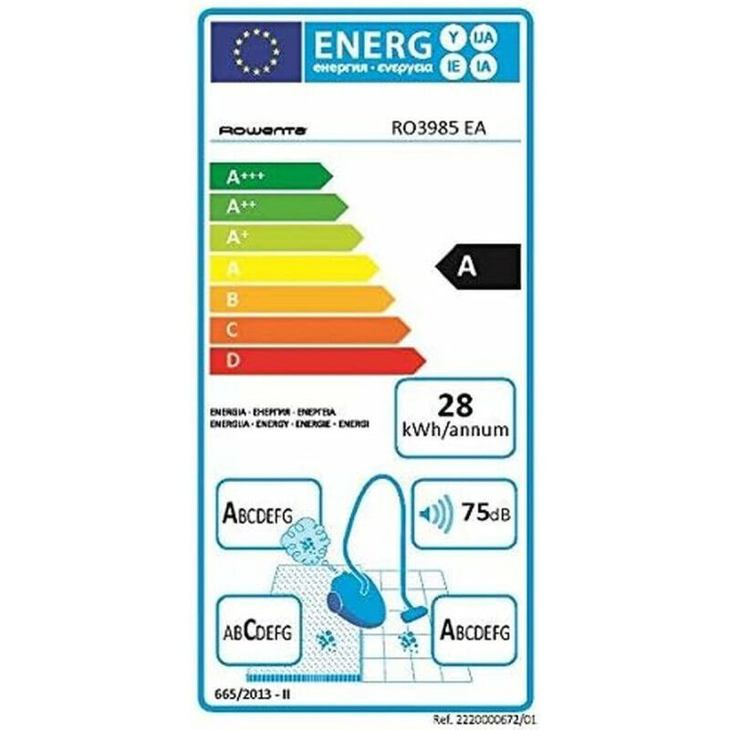 Aspirateur Rowenta Noir 750 W