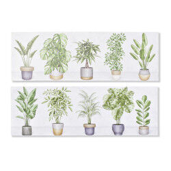 Cadre DKD Home Decor Plante...
