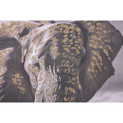 Cadre Home ESPRIT Beige Gris Eléphant Colonial Paillettes 150 x 4 x 50 cm (2 Unités)