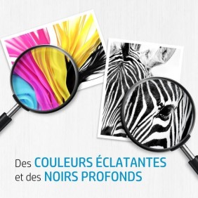 HP 301 Cartouche d'encre trois couleurs authentique (CH562EE) pour HP Envy 4505 et HP DeskJet 1050/1512/2548/3057A