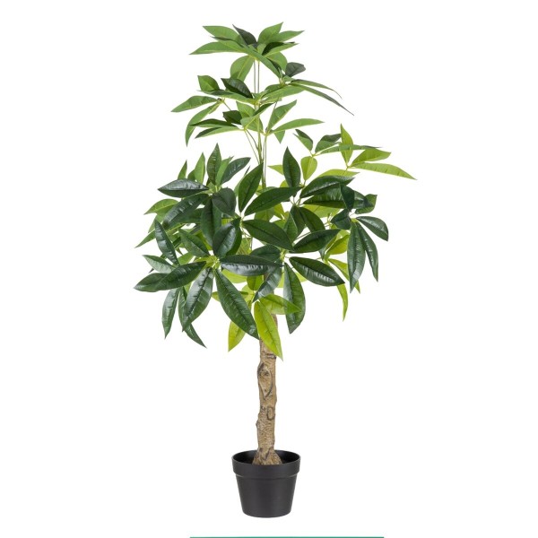 Plante décorative 54 x 52 x 120 cm Vert PVC