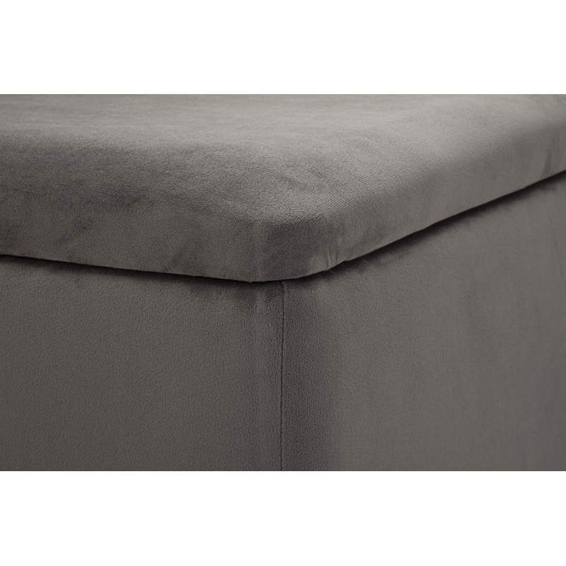 Banc Coffre Silvery – Lumière Argentée 112 x 42 x 50 cm
