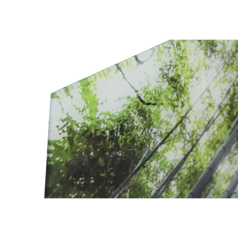 Cadre Home ESPRIT Vert Imprimé 150 x 0,4 x 100 cm