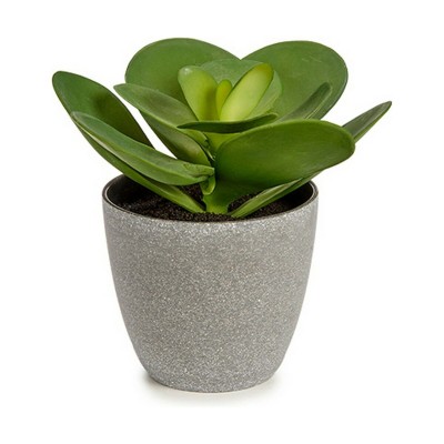 Plante décorative 18 x 18,5 x 18 cm Gris Vert Plastique (6 Unités)