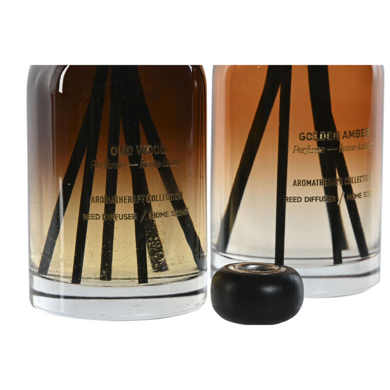 Désodorisant Home ESPRIT Moderne 500 ml (2 Unités)