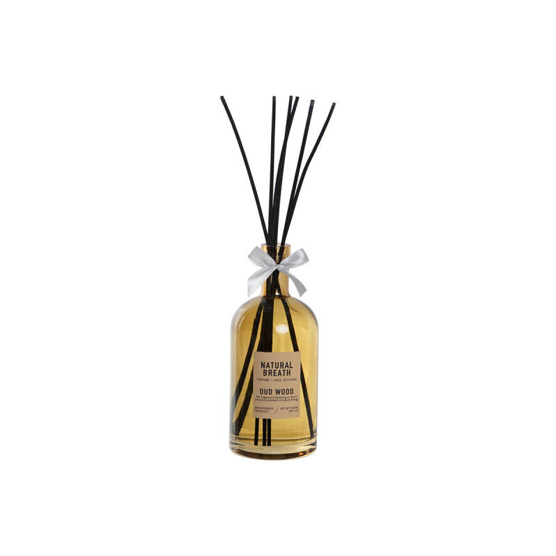 Désodorisant Home ESPRIT 1 L (2 Unités)