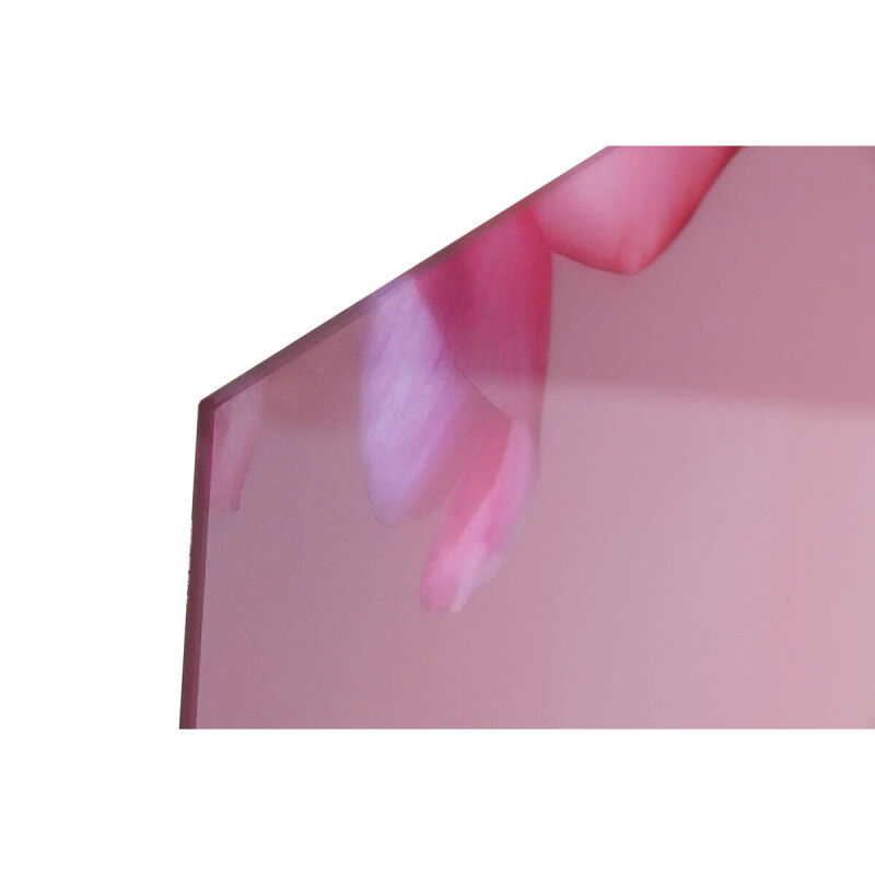 Cadre Home ESPRIT Rose Imprimé 150 x 0,4 x 100 cm