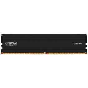 Mémoire RAM - CRUCIAL - PRO DDR5 - 24Go - DDR5-6000 - UDIMM CL48 (CP24G60C48U5)