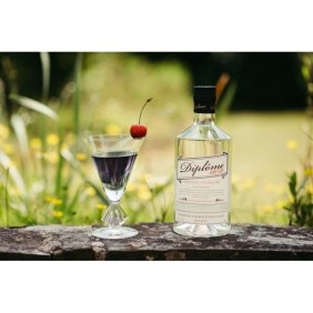 Diplôme Dry Gin 44° 70 CL - Le Dry Gin a la française, recette de 1945. La base parfaite pour tous vos cocktails a base de Gin !