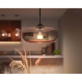 PHILIPS Hue White Ambiance - Ampoule LED connectée E27 - 9,5W Equivalent 75W - Compatible Bluetooth