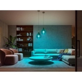 Philips Hue White é Color Ambiance, ampoule LED connectée E27,Equivalent 75W, 1100 lumen, Compatible Bluetooth, Pack de 2