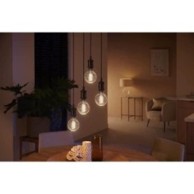 Philips Hue White Ambiance, ampoule LED connectée E27 Filament G93 Globe, Bluetooth, fonctionne avec Alexa, Google et Homekit