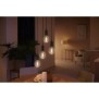 Philips Hue White Ambiance, ampoule LED connectée E27 Filament G93 Globe, Bluetooth, fonctionne avec Alexa, Google et Homekit