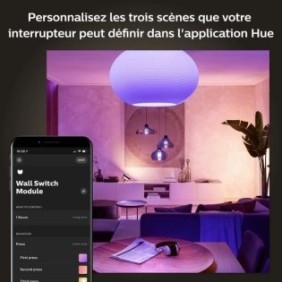 Philips Hue Module d'interrupteur mural, Pack de 2, Blanc, fonctionne avec Alexa, Google Assistant et Apple Homekit