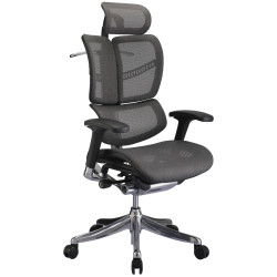 Silla de oficina ergonómica Norfolk Gris