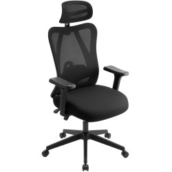 Fauteuil de bureau Elisha noire