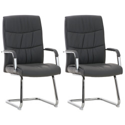Lot de 2 chaises Caro gris