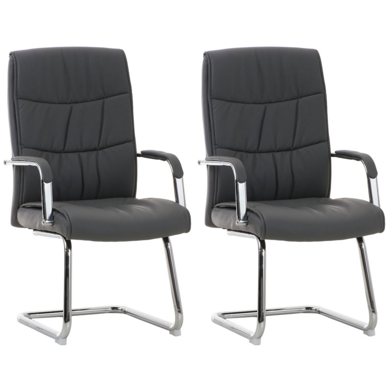 Lot de 2 chaises Caro gris