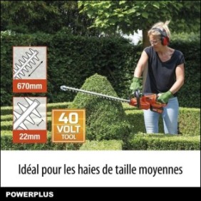 Dual Power Taille-Haie Batterie POWDPG7536 - 40 V, sans Batterie ni Chargeur, Lame de 670 mm,  écart de 22 mm