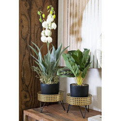 PORTE-VASE BOSSY SET 2 PIÈCES CM Ø 20,5X13-18X13