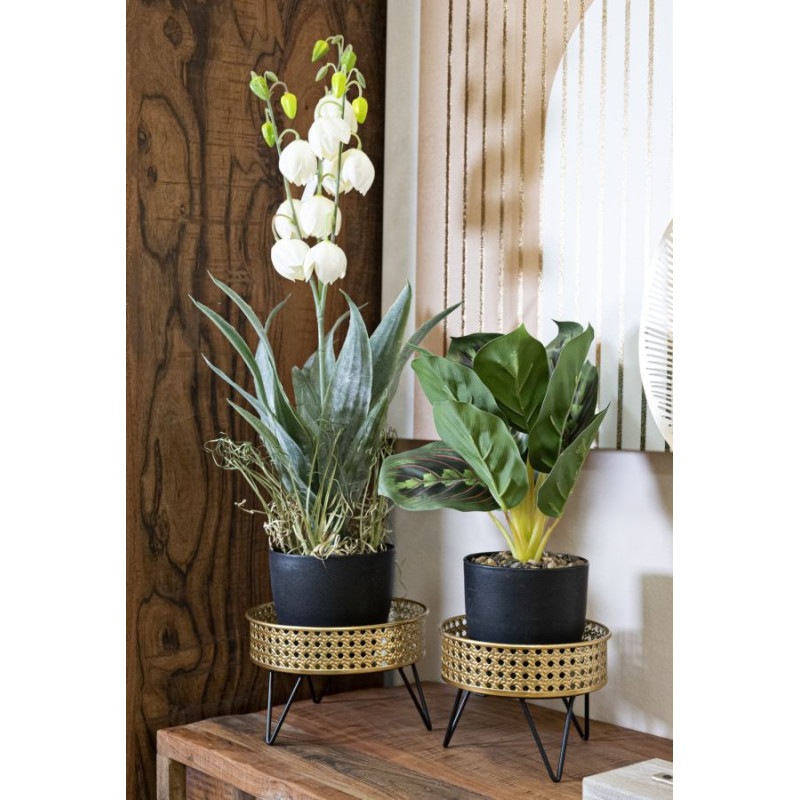PORTE-VASE BOSSY SET 2 PIÈCES CM Ø 20,5X13-18X13