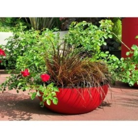 RIVIERA - Coupe pot de fleurs - granit D40 - rouge