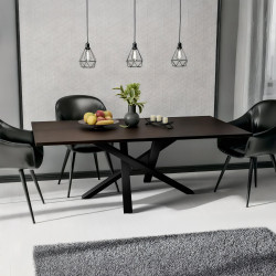 Pieds de tables à manger Finney 120x60x72 noir