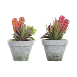 Plante décorative DKD Home...