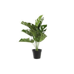 Plante décorative DKD Home...