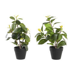 Plante décorative DKD Home...