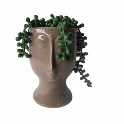 Plante décorative DKD Home...