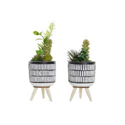 Plante décorative DKD Home...