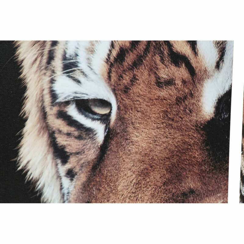 Cadre DKD Home Decor Tigre Pin Toile (5 pcs) (2 pcs)