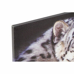 Cadre DKD Home Decor Tigre Colonial (80 x 1,8 x 40 cm) (2 Unités)