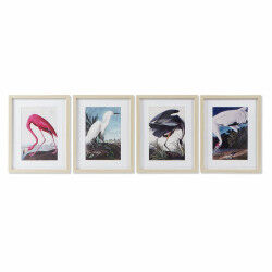 Cadre DKD Home Decor Oiseau...