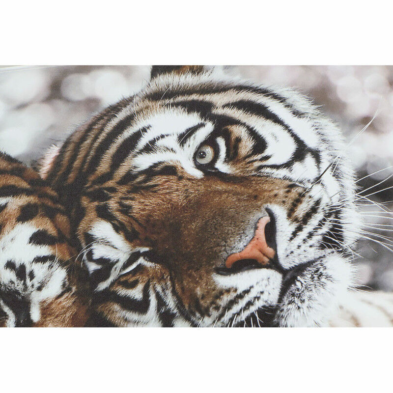 Cadre DKD Home Decor Tigre Colonial (80 x 1,8 x 40 cm) (2 Unités)