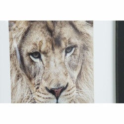 Cadre DKD Home Decor Colonial Jungle (35 x 2,5 x 45 cm) (35 x 2 x 45 cm) (4 Unités)