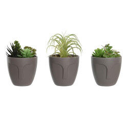 Plante décorative DKD Home...
