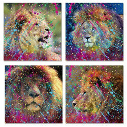 Cadre DKD Home Decor Lion...