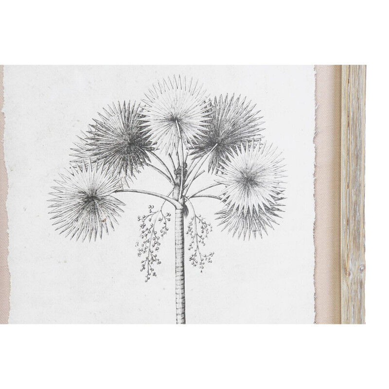 Cadre DKD Home Decor Palmiers Colonial (35 x 1,8 x 45 cm) (9 Unités)