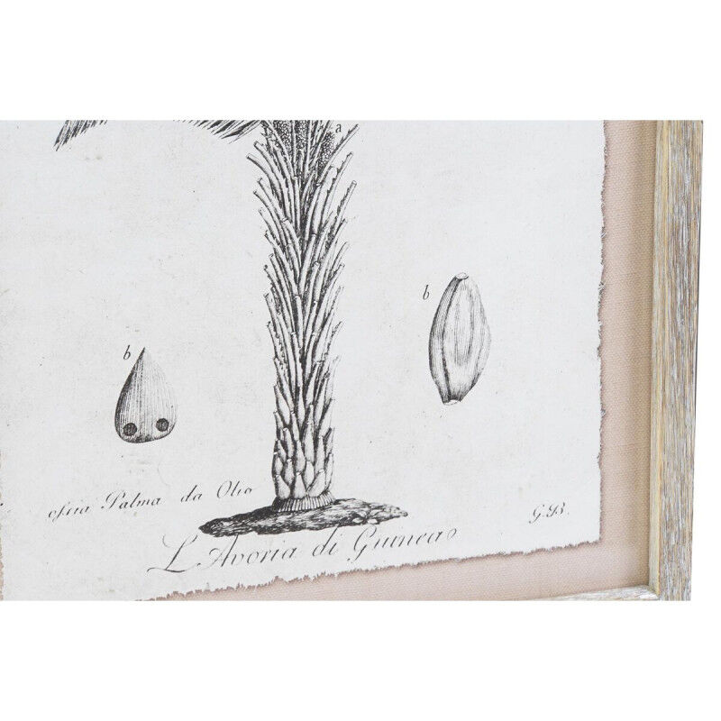 Cadre DKD Home Decor Palmiers Colonial (35 x 1,8 x 45 cm) (9 Unités)
