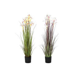 Plante décorative DKD Home...
