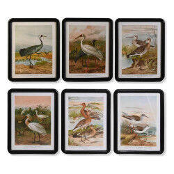Cadre DKD Home Decor Verre...