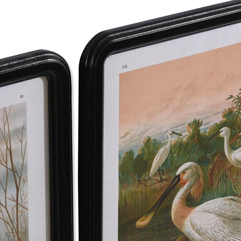 Cadre DKD Home Decor Verre Bois MDF Oiseaux (40 x 50 x 1,8 cm) (6 Unités)