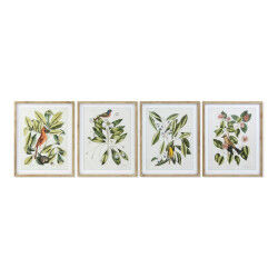 Cadre DKD Home Decor Bird...