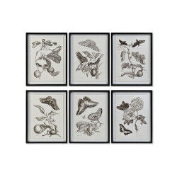 Cadre DKD Home Decor 50 x 2,5 x 65 cm Fleurs Moderne (6 Pièces)