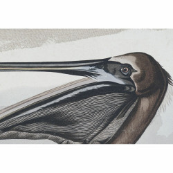 Cadre DKD Home Decor 90 x 2 x 68 cm Oiseau Oriental (2 Unités)