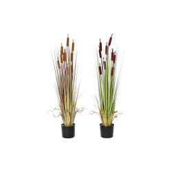Plante décorative DKD Home...