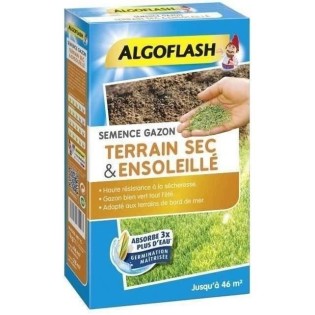 ALGOFLASH - Gazon terrain sec ensoleillé 1kg