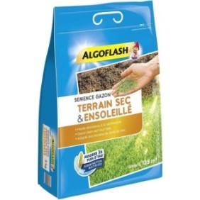 Semences Gazon Terrain Sec Ensoleillé - ALGOFLASH NATURASOL - 3 kg